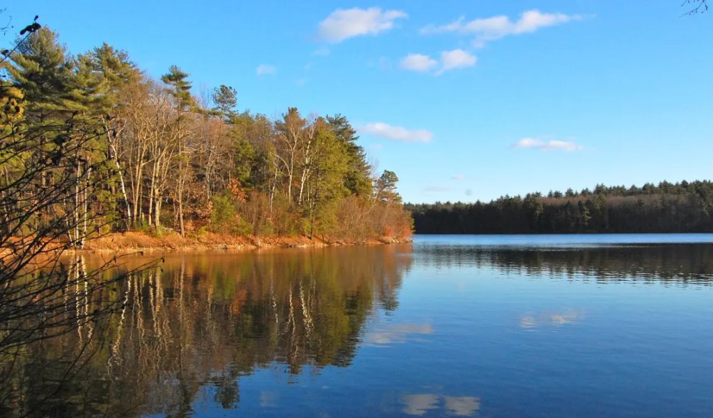 Walden, Life in the Woods is an 1854 book by American transcendentalist writer Henry David Thoreau.